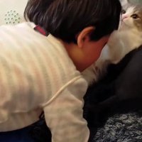 猫を吸う男の子