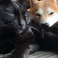 目を瞑るふたり