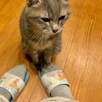 アピールする竜太郎くん