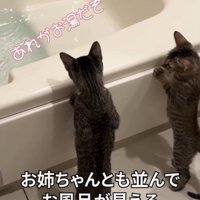 「あれがお湯だぞ」と書かれた写真