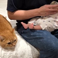 伏せの姿勢