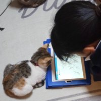 タブレットを見ている女の子と子猫