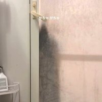 ドアを開けようとする猫