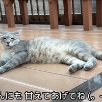 テロップ「父ちゃんにも～」