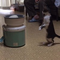 「なに？」と書かれた写真