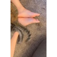 猫の尻尾