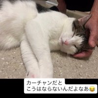 特別