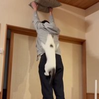 座布団を掲げる飼い主と猫