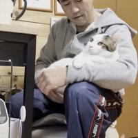 膝の上でくつろぐ猫の写真6