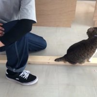 ストレッチ