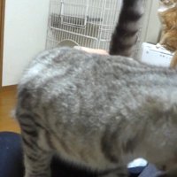 頭をつけて(横から)