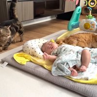 じっと見られるふたり