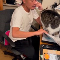 猫が乗っているノートを持ち上げようとする代表