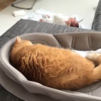 横たわる後ろ姿