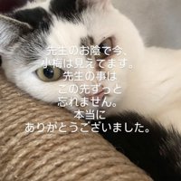 綺麗な目に回復した小梅ちゃん