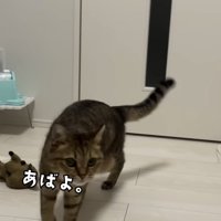 「あばよ。」のテロップ写真