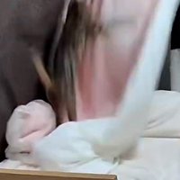 何度も布団に飛びついて遊ぶ猫