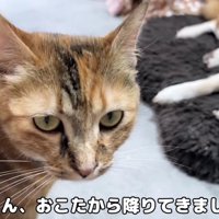 コタツから降りてリキくんに近づくリサちゃん