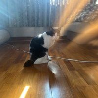 注目マークに見える写真
