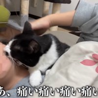 テロップ「あ、痛い痛い～」