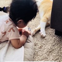 伸びる茶白猫と茶白猫を見る赤ちゃん