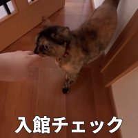 入館チェック