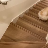 おもちゃと後ろ姿