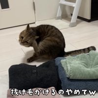 頭を掻くみにらくん