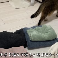 去っていくみにらくんと飼い主さんの心の声