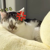 テロップ「ぼくはパパっ子になる」