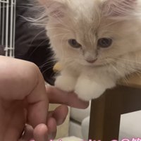 「手に力入ってないの？笑」のテロップ写真2