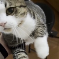 立ち上がろうと