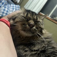 腕の中の凛太郎くん