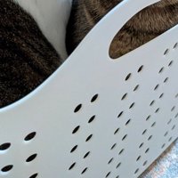 バスケット