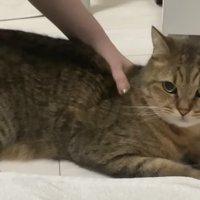 こちらを見つめるみにらくん