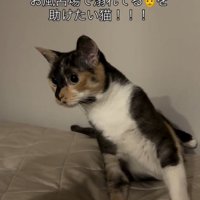 「お風呂で溺れてる…」と書かれた写真2