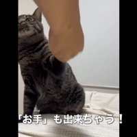 お手