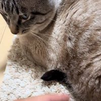不満そうな声