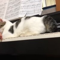 手の近くに