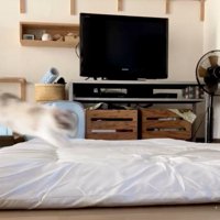 布団が1枚敷いてある