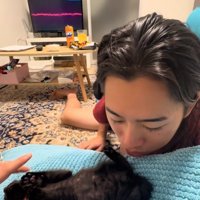 飼い主の近くでへそ天をして右前足を触られている子猫