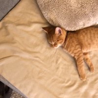 眠るふたり