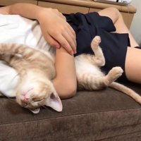 へそ天(目を閉じて)