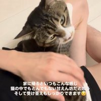 振り返りうっとりとした顔をする猫