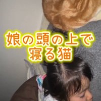 娘の頭の上で眠る猫