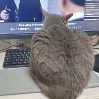 後ろ姿
