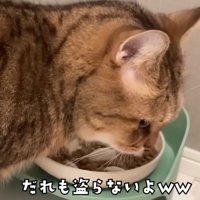 チラっと見るみにらくん