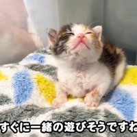 テロップ「すぐに一緒～」