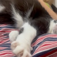 くつろぐ姿