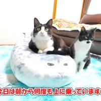 今日は朝から